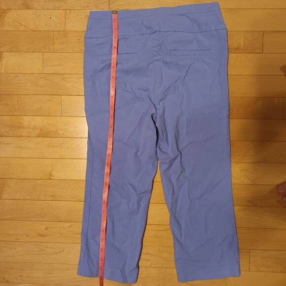 Blue Capri Pants - Picture 1 of 3
